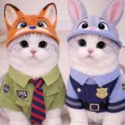 ヒメ日記 2026/03/24 12:54 投稿 すみ 即アポ奥さん ～津・松阪店～