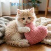 ヒメ日記 2026/03/29 00:14 投稿 すみ 即アポ奥さん ～津・松阪店～