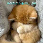 ヒメ日記 2026/04/05 12:54 投稿 すみ 即アポ奥さん ～津・松阪店～