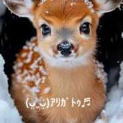 ヒメ日記 2026/04/11 11:24 投稿 すみ 即アポ奥さん ～津・松阪店～