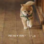 ヒメ日記 2026/06/19 13:54 投稿 すみ 即アポ奥さん ～津・松阪店～