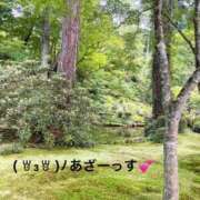 ヒメ日記 2026/07/13 15:54 投稿 すみ 即アポ奥さん ～津・松阪店～
