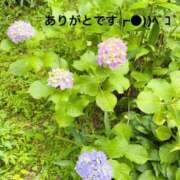 ヒメ日記 2026/07/29 19:12 投稿 すみ 即アポ奥さん ～津・松阪店～