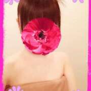 ヒメ日記 2025/01/01 13:24 投稿 ツバキ タレント倶楽部Around40