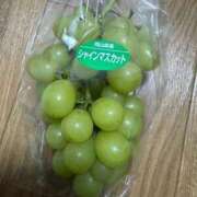 ヒメ日記 2025/10/09 14:04 投稿 ツバキ タレント倶楽部Around40