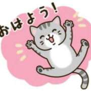 ヒメ日記 2025/10/19 10:38 投稿 ツバキ タレント倶楽部Around40