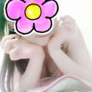 ヒメ日記 2026/01/01 20:44 投稿 ツバキ タレント倶楽部Around40