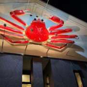 ヒメ日記 2026/01/04 14:44 投稿 ツバキ タレント倶楽部Around40