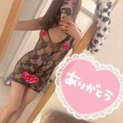 ヒメ日記 2025/06/18 16:28 投稿 君野ここ 大阪ニューハーフヘルス ルピナスハーフ梅田