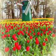 ヒメ日記 2025/04/10 08:15 投稿 あきな 素人妻達☆マイふぇらレディー