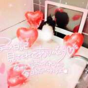 ヒメ日記 2025/05/19 09:22 投稿 あきな 素人妻達☆マイふぇらレディー