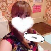 ヒメ日記 2025/09/07 19:55 投稿 せいか ダック京都