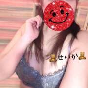 ヒメ日記 2025/09/19 10:52 投稿 せいか ダック京都