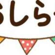 ヒメ日記 2026/01/23 15:54 投稿 せいか ダック京都