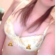 ヒメ日記 2026/03/30 12:20 投稿 せいか ダック京都