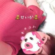 ヒメ日記 2026/04/09 10:53 投稿 せいか ダック京都