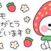 ヒメ日記 2026/08/22 15:25 投稿 せいか ダック京都