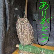 ヒメ日記 2026/03/07 12:54 投稿 ゆう 完熟ばなな 立川