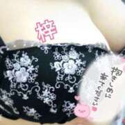 ヒメ日記 2025/02/07 12:05 投稿 梓 高崎人妻城