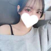 ヒメ日記 2024/12/14 23:45 投稿 椿 シャングリラ