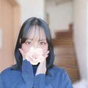 ヒメ日記 2024/12/25 10:27 投稿 椿 シャングリラ