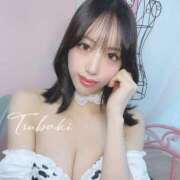 ヒメ日記 2024/12/28 00:25 投稿 椿 シャングリラ