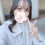 ヒメ日記 2025/04/06 10:44 投稿 椿 シャングリラ