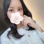 ヒメ日記 2025/04/22 10:42 投稿 椿 シャングリラ