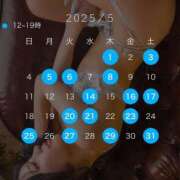 ヒメ日記 2025/04/29 11:20 投稿 椿 シャングリラ