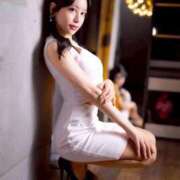 ヒメ日記 2025/11/12 08:30 投稿 椿 シャングリラ