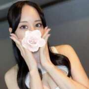 ヒメ日記 2025/12/22 09:12 投稿 椿 シャングリラ