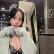 ヒメ日記 2026/02/15 07:43 投稿 椿 シャングリラ