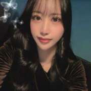 ヒメ日記 2026/02/18 11:23 投稿 椿 シャングリラ