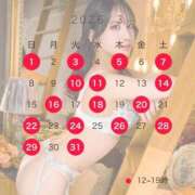 ヒメ日記 2026/02/23 21:41 投稿 椿 シャングリラ