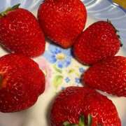 ヒメ日記 2025/03/08 00:48 投稿 一ノ瀬かな 札幌ソフィア