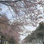 ヒメ日記 2025/05/05 12:04 投稿 一ノ瀬かな 札幌ソフィア