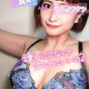 ヒメ日記 2025/08/11 14:16 投稿 あおい Lolipop（ロリポップ）