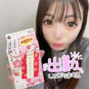 ヒメ日記 2025/02/15 12:16 投稿 チロル ロボットデリヘル