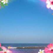 ヒメ日記 2025/08/08 17:38 投稿 ありす 高津角えび