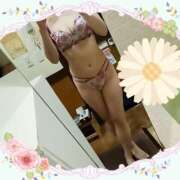 ヒメ日記 2025/09/06 12:00 投稿 ありす 高津角えび