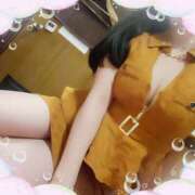 ヒメ日記 2025/09/13 00:38 投稿 ありす 高津角えび