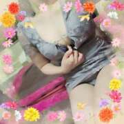 ヒメ日記 2025/09/26 14:18 投稿 ありす 高津角えび