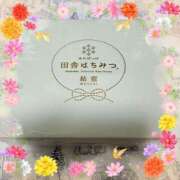 ヒメ日記 2025/10/06 00:28 投稿 ありす 高津角えび