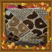 ヒメ日記 2025/10/10 20:48 投稿 ありす 高津角えび