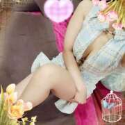 ヒメ日記 2025/10/11 22:08 投稿 ありす 高津角えび