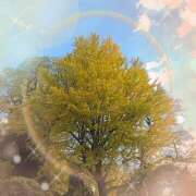 ヒメ日記 2025/11/16 14:18 投稿 ありす 高津角えび