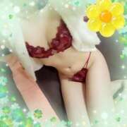 ヒメ日記 2026/01/10 14:58 投稿 ありす 高津角えび