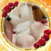 ヒメ日記 2026/02/21 12:59 投稿 ありす 高津角えび