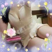 ヒメ日記 2026/02/27 15:48 投稿 ありす 高津角えび