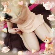 ヒメ日記 2026/03/03 07:08 投稿 ありす 高津角えび